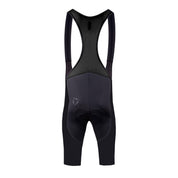 VELOCE BIB SHORT