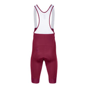 ZAFFIRO BIB SHORT